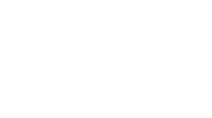 Fort-waynes